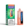 Lost Mary MO20000 Pro Disposable Vape (Box of 5)