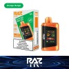 RAZ LTX 25000 Disposable (Box of 5) [Formerly DC 25K]