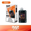 RAZ LTX 25000 Disposable (Box of 5) [Formerly DC 25K]