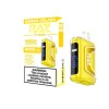 RAZ TN9000 Disposable Vape 9000 Puffs (Box of 5)