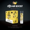 Air boost Disposable (Box of  10)