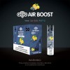 Air boost Disposable (Box of  10)